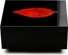 Laden Sie das Bild in den Galerie-Viewer, Adorini Humidor Sorrente- Deluxe Kapazität: ca. 68 Zigarren