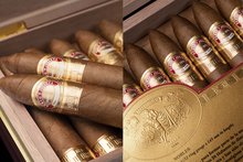 Laden Sie das Bild in den Galerie-Viewer, Romeo Y Julieta Linea De Oro - Nobles